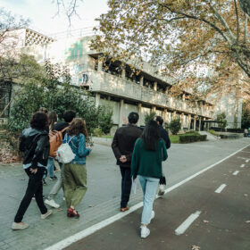 OPEN WALKS.Campus Blasco Ibañezxpedroecastelo-21